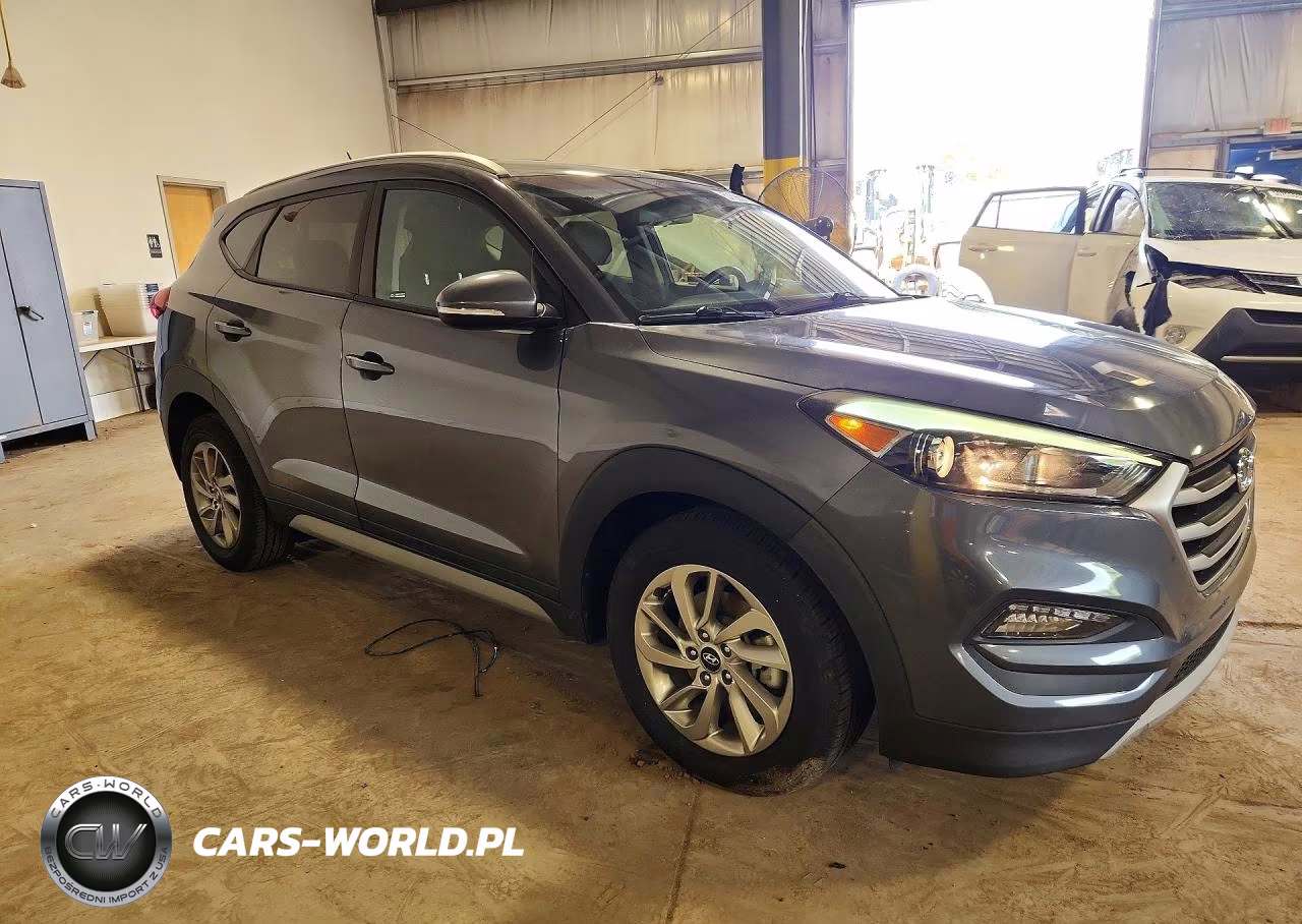 2017 Hyundai Tucson Eco VIN:KM8J3CA28HU497442 - 4