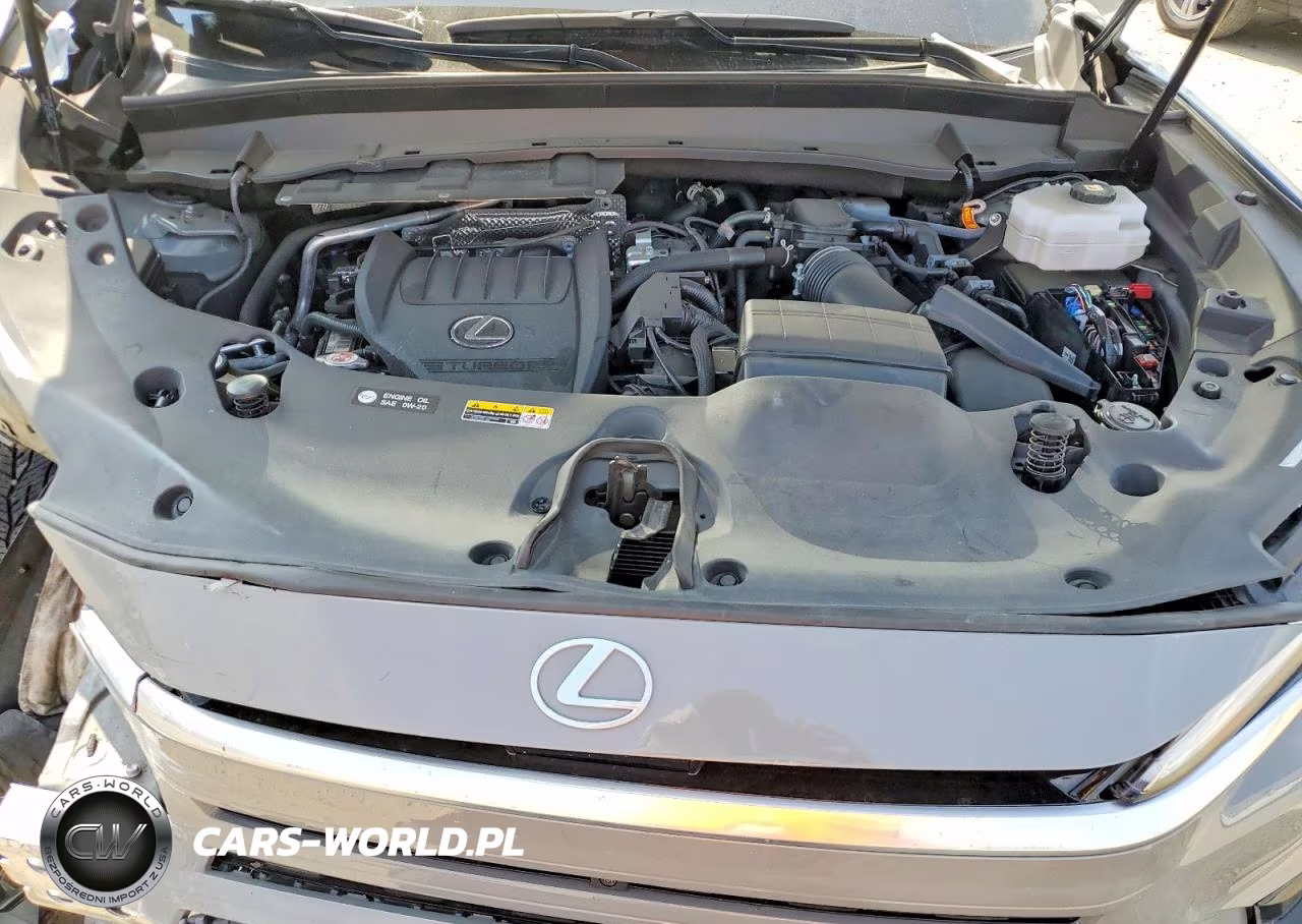 2024 Lexus Tx 500H F Sport Performance Luxury VIN:5TDABAB63RS005306 - 12