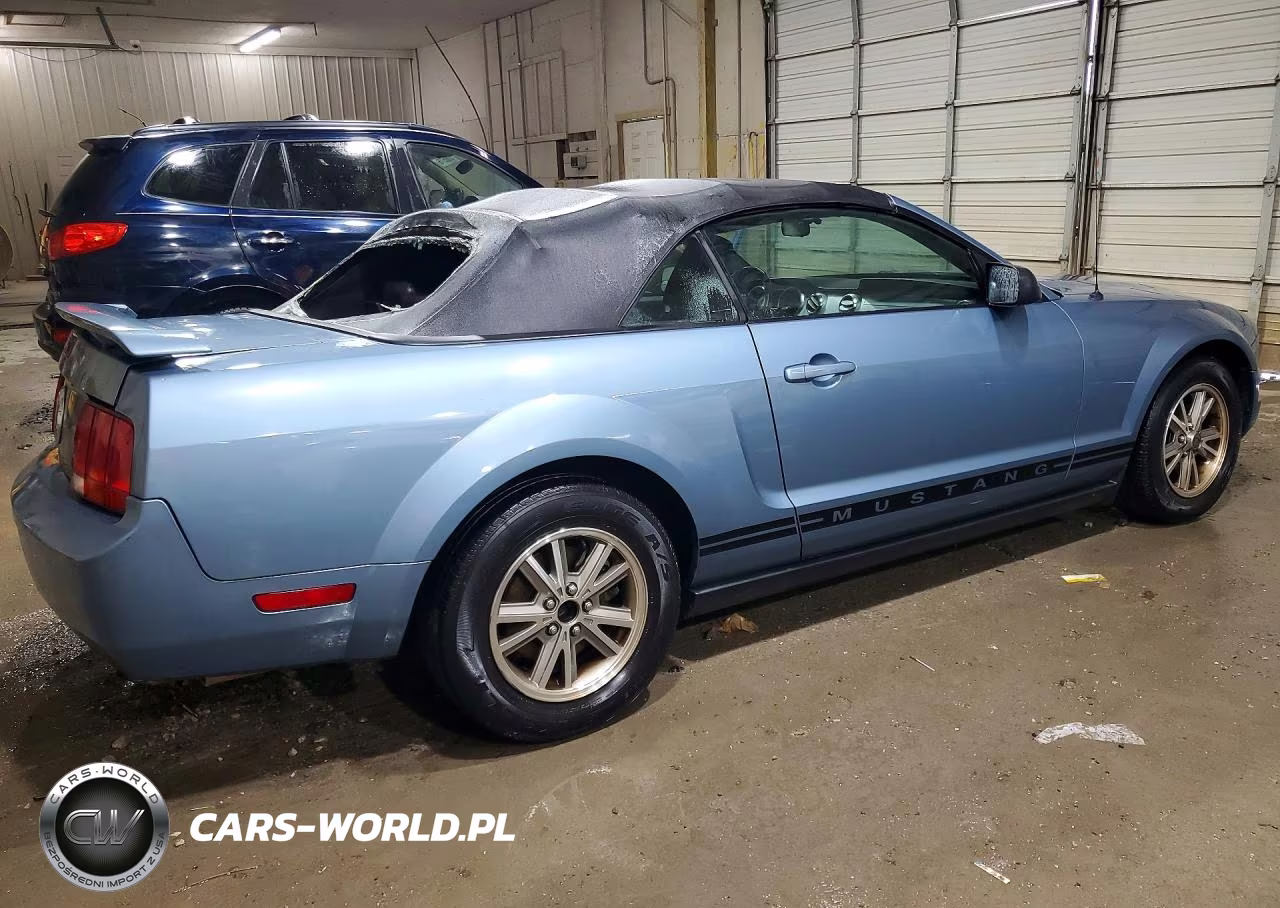 2005 Ford Mustang VIN:1ZVFT84N755258545 - 3