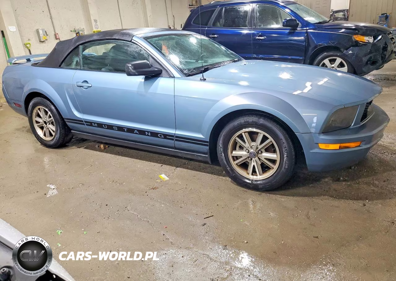2005 Ford Mustang VIN:1ZVFT84N755258545 - 4