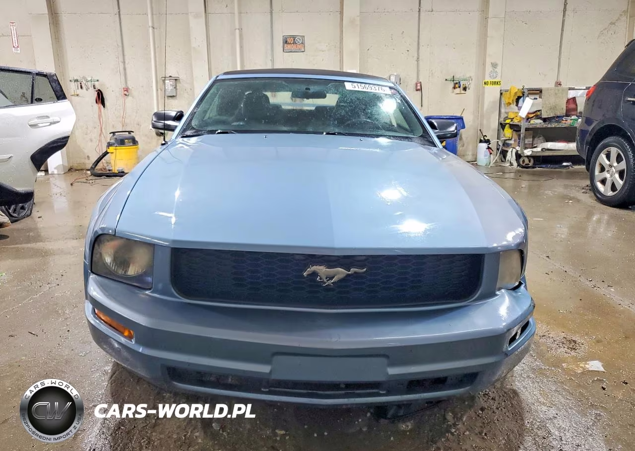 2005 Ford Mustang VIN:1ZVFT84N755258545 - 5