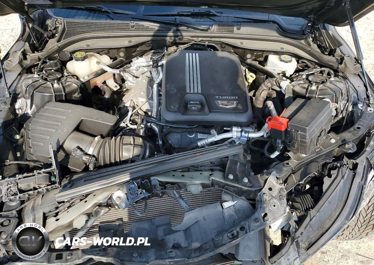 2023 Cadillac Ct5 Luxury VIN:1G6DM5RK3P0112411 - 11