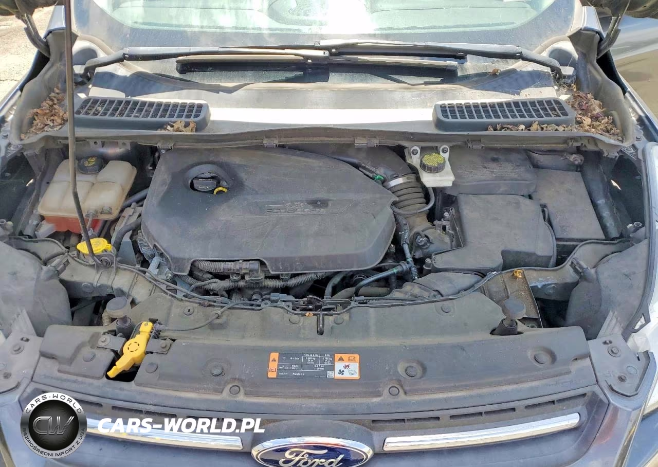 2015 Ford Escape Se VIN:1FMCU0GX3FUA53065 - 11
