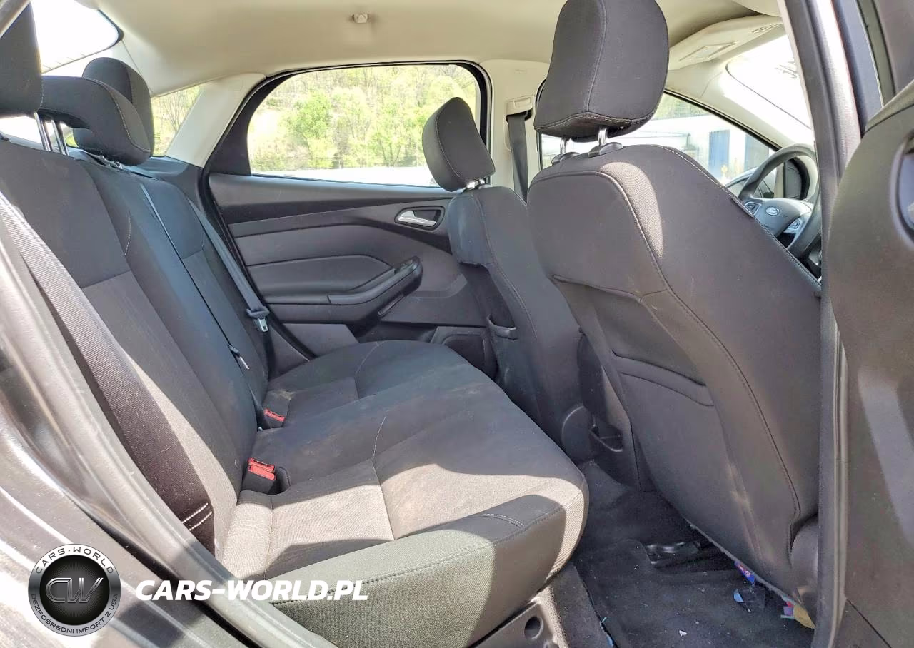 2016 Ford Focus Se VIN:1FADP3F28GL393610 - 10