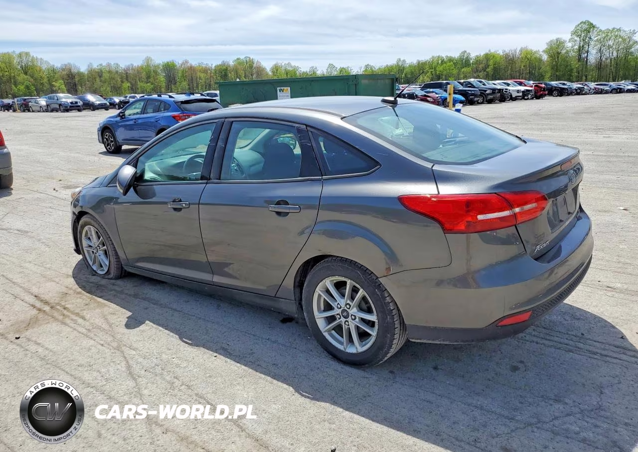 2016 Ford Focus Se VIN:1FADP3F28GL393610 - 2
