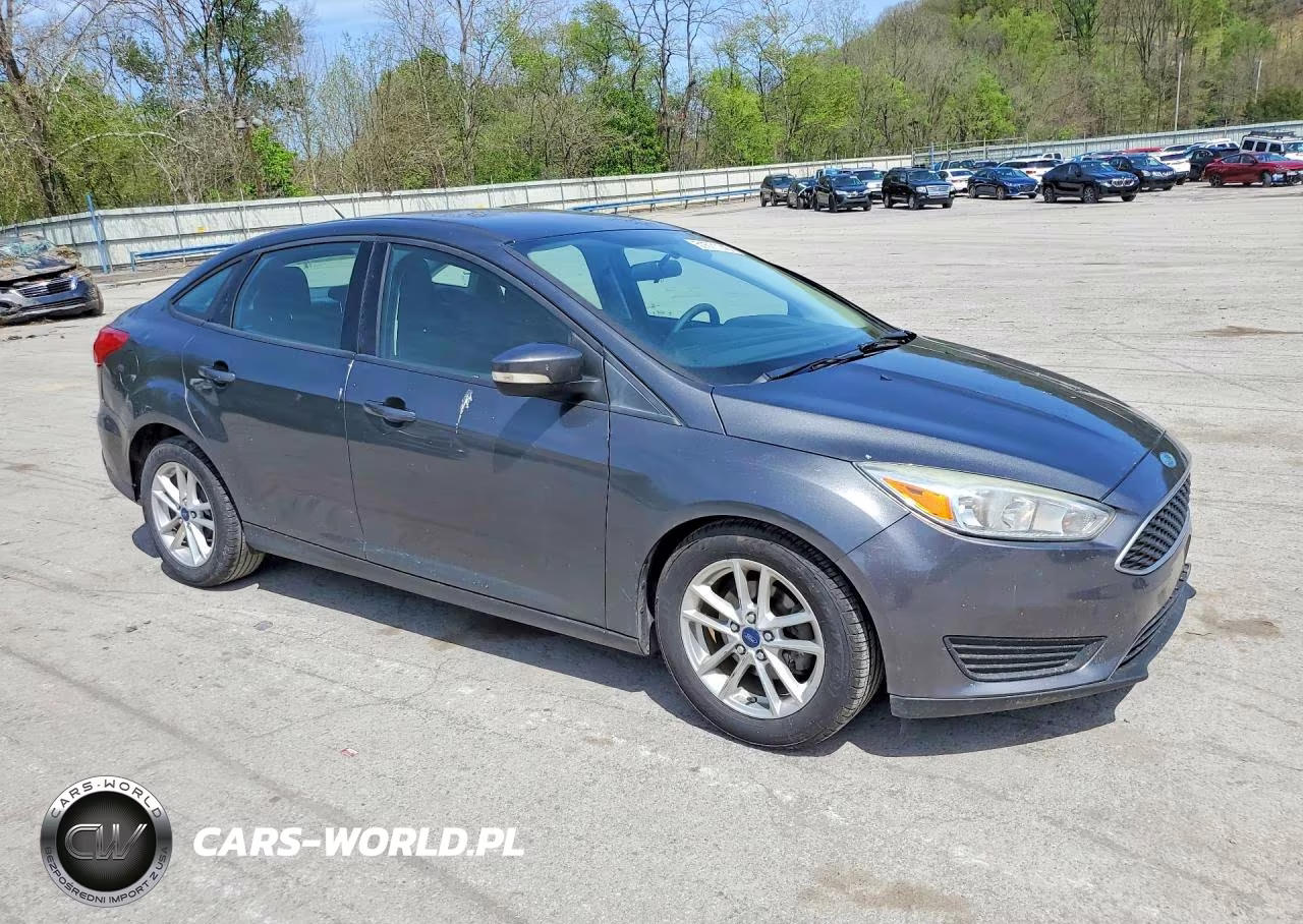 2016 Ford Focus Se VIN:1FADP3F28GL393610 - 4