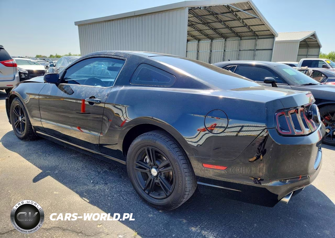 2014 Ford Mustang VIN:1ZVBP8AM0E5301850 - 2