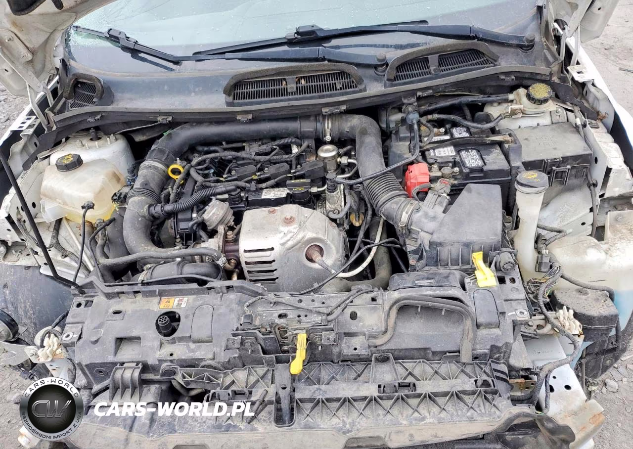 2014 Ford Fiesta Se VIN:3FADP4BE2EM170982 - 11