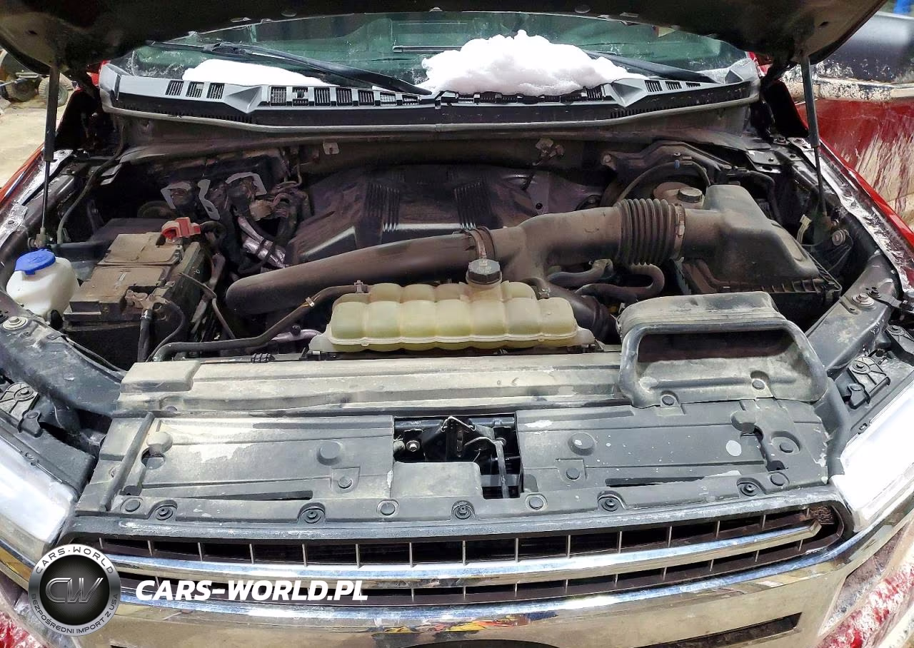 2020 Ford F150 Supercrew VIN:1FTEW1E41LKD32365 - 11