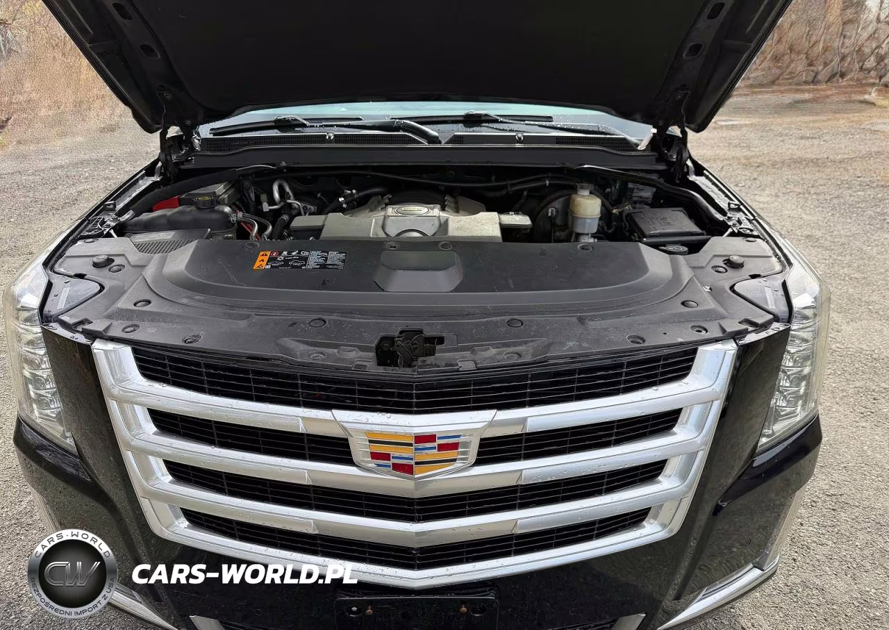 2019 Cadillac Escalade Esv VIN:1GYS4GKJ3KR281635 - 7