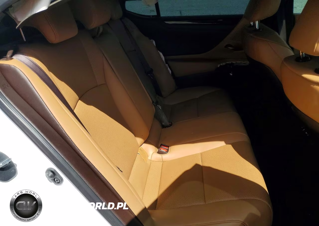2020 Lexus Es 350 VIN:58ADZ1B16LU066914 - 10