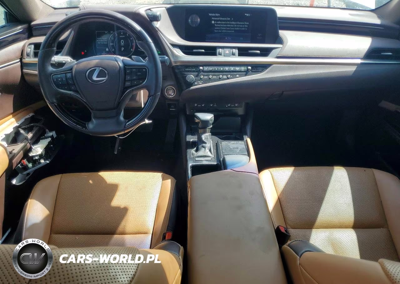 2020 Lexus Es 350 VIN:58ADZ1B16LU066914 - 8