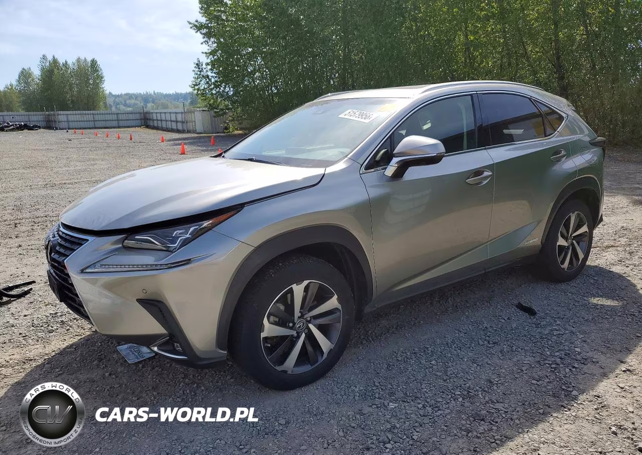 2018 Lexus Nx 300H – zdjęcie 1 z 14