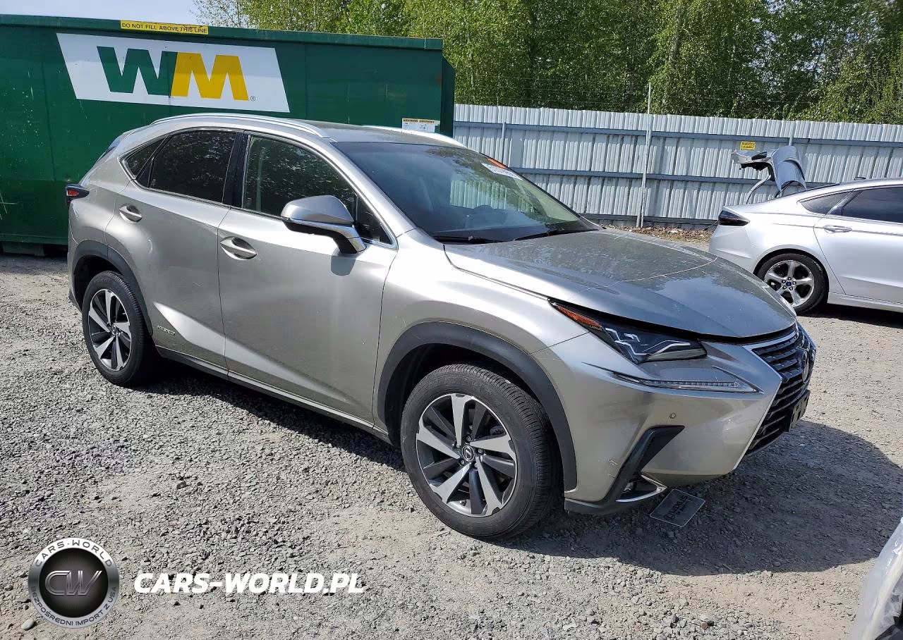 2018 Lexus Nx 300H VIN:JTJBJRBZ3J2088440 - 4