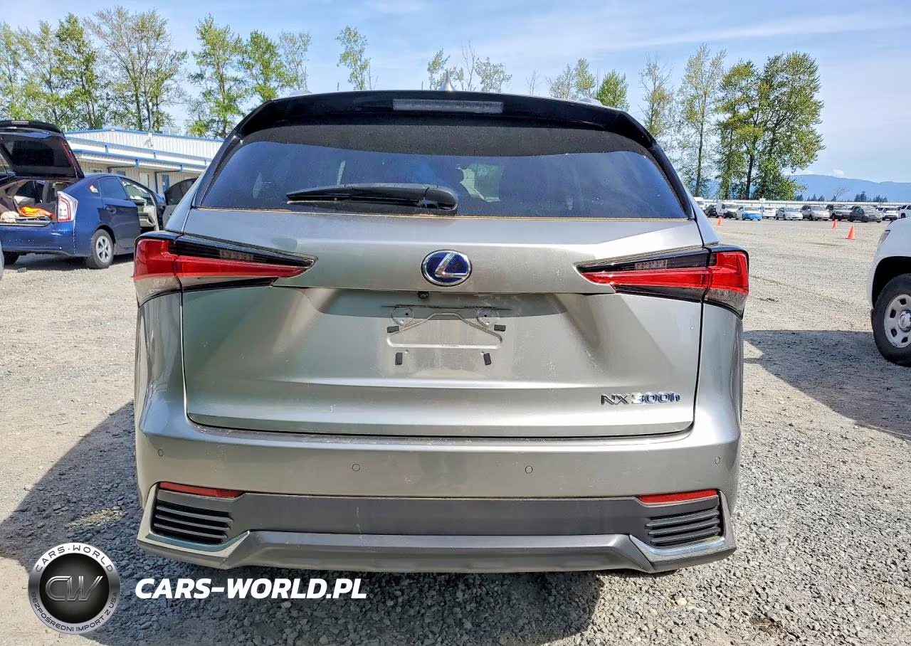 2018 Lexus Nx 300H VIN:JTJBJRBZ3J2088440 - 6