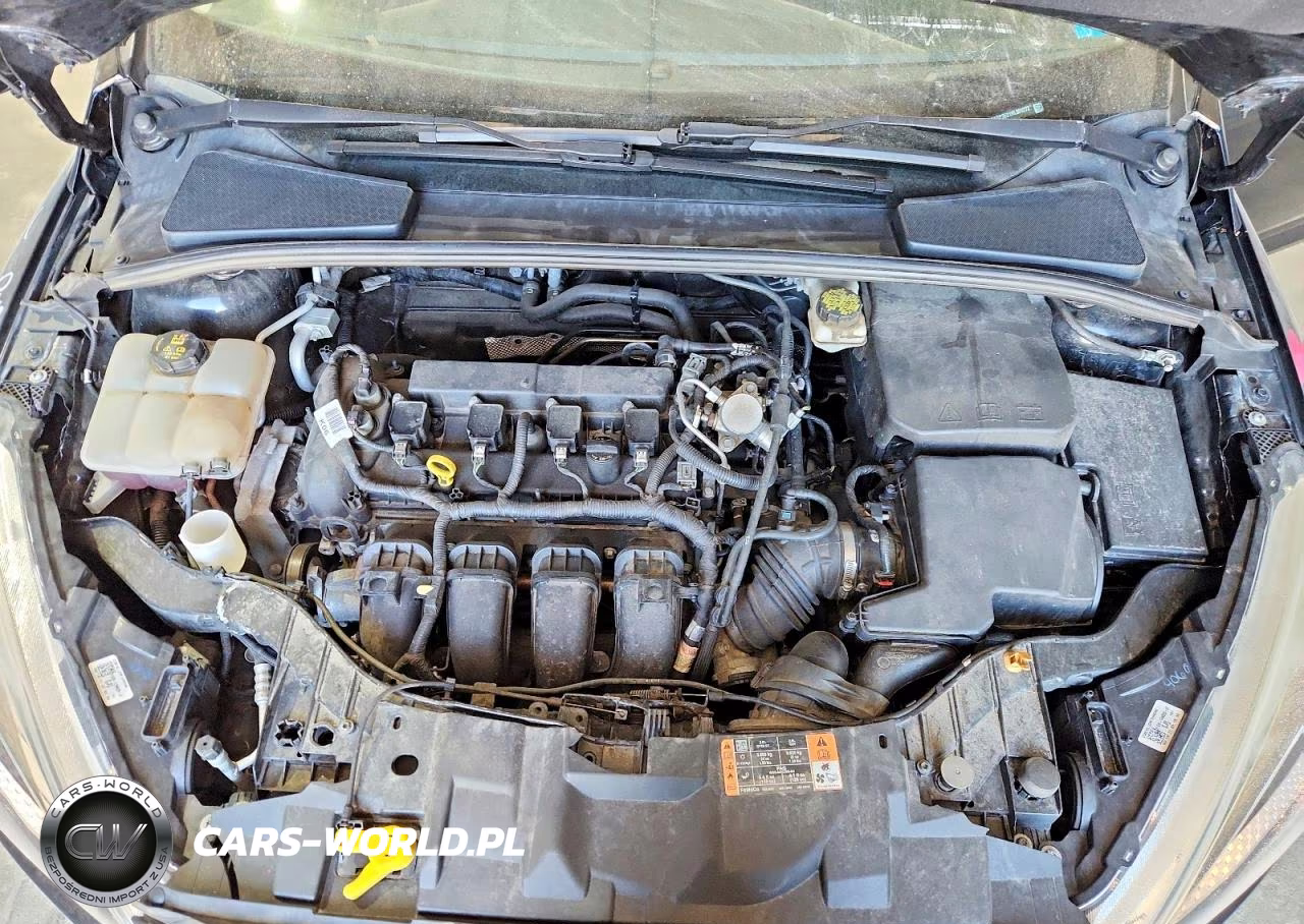 2017 Ford Focus S VIN:1FADP3E21HL301272 - 11