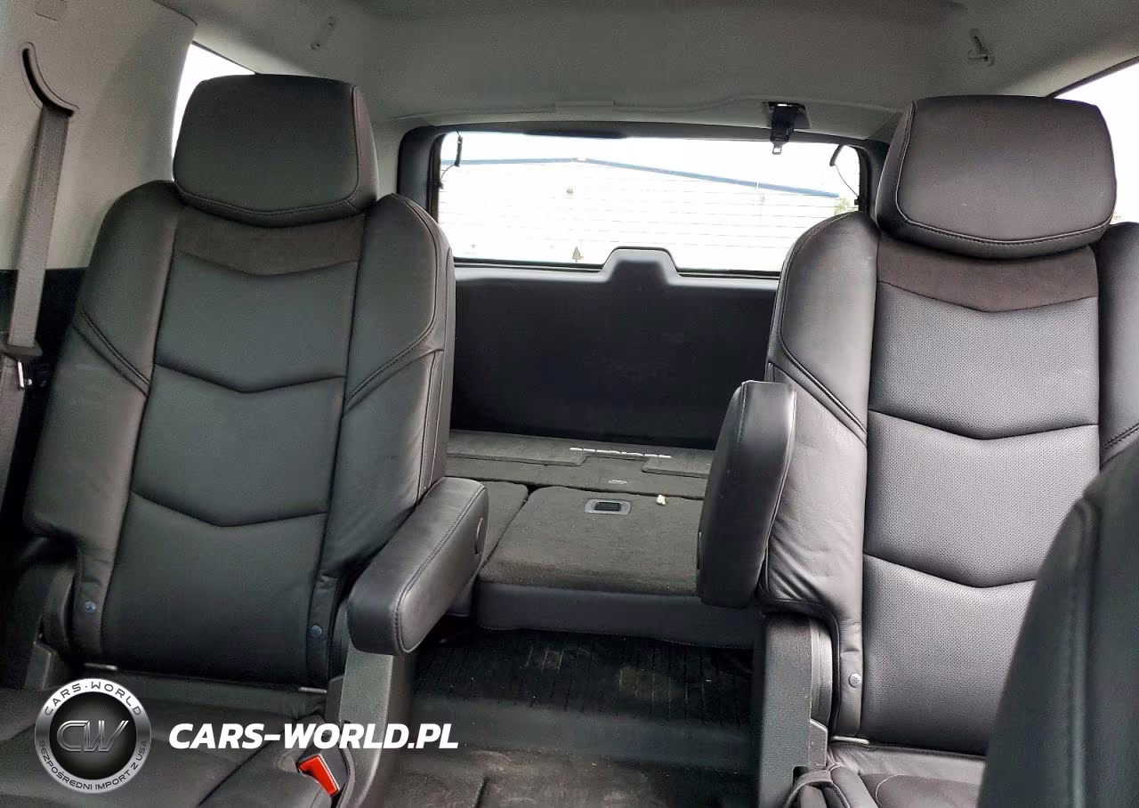 2020 Cadillac Escalade Premium Luxury VIN:1GYS4CKJ5LR182311 - 10