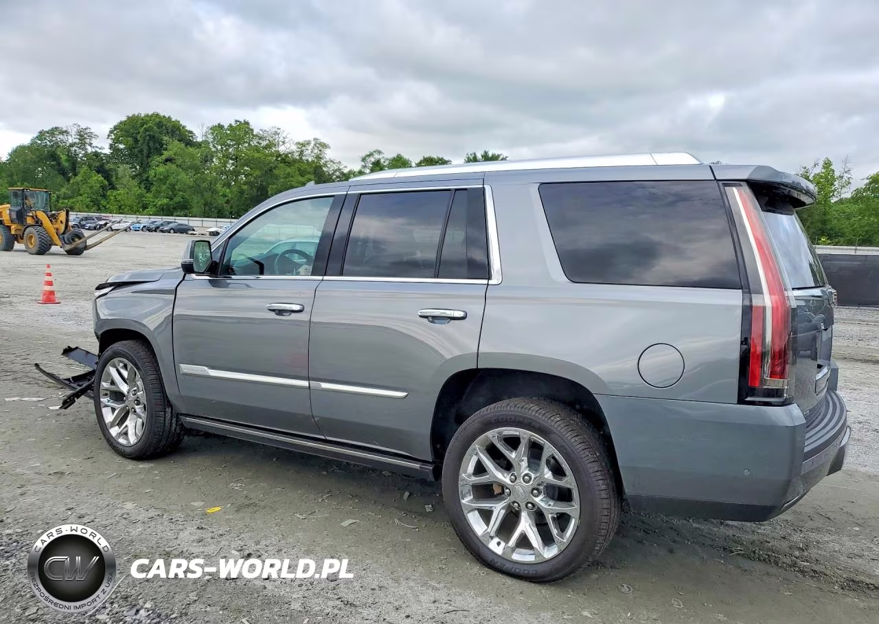 2020 Cadillac Escalade Premium Luxury VIN:1GYS4CKJ5LR182311 - 2