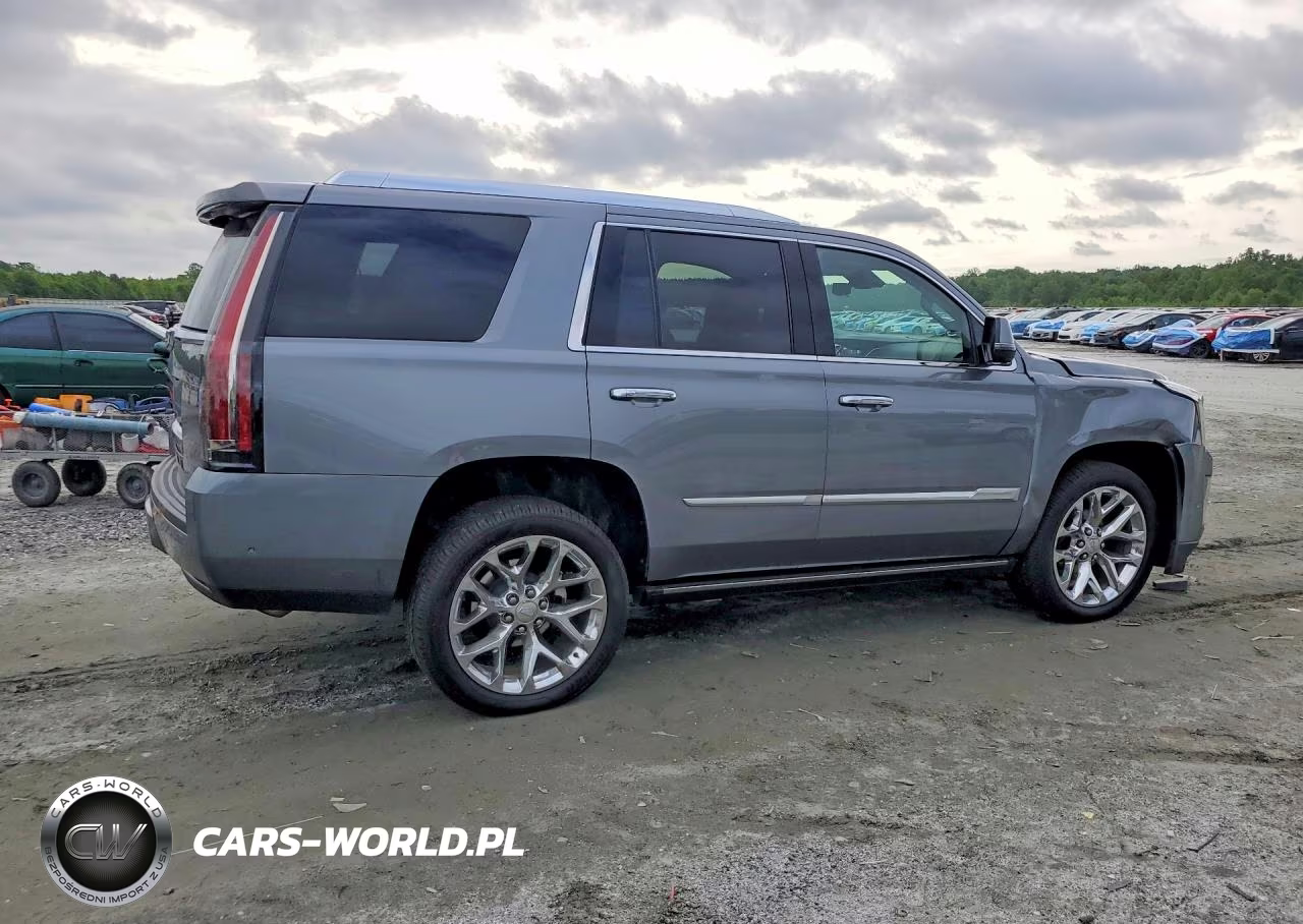 2020 Cadillac Escalade Premium Luxury VIN:1GYS4CKJ5LR182311 - 3