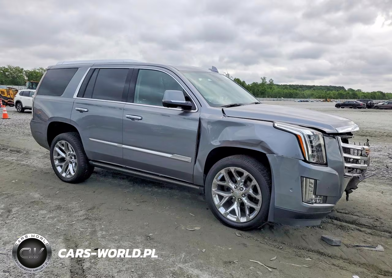 2020 Cadillac Escalade Premium Luxury VIN:1GYS4CKJ5LR182311 - 4