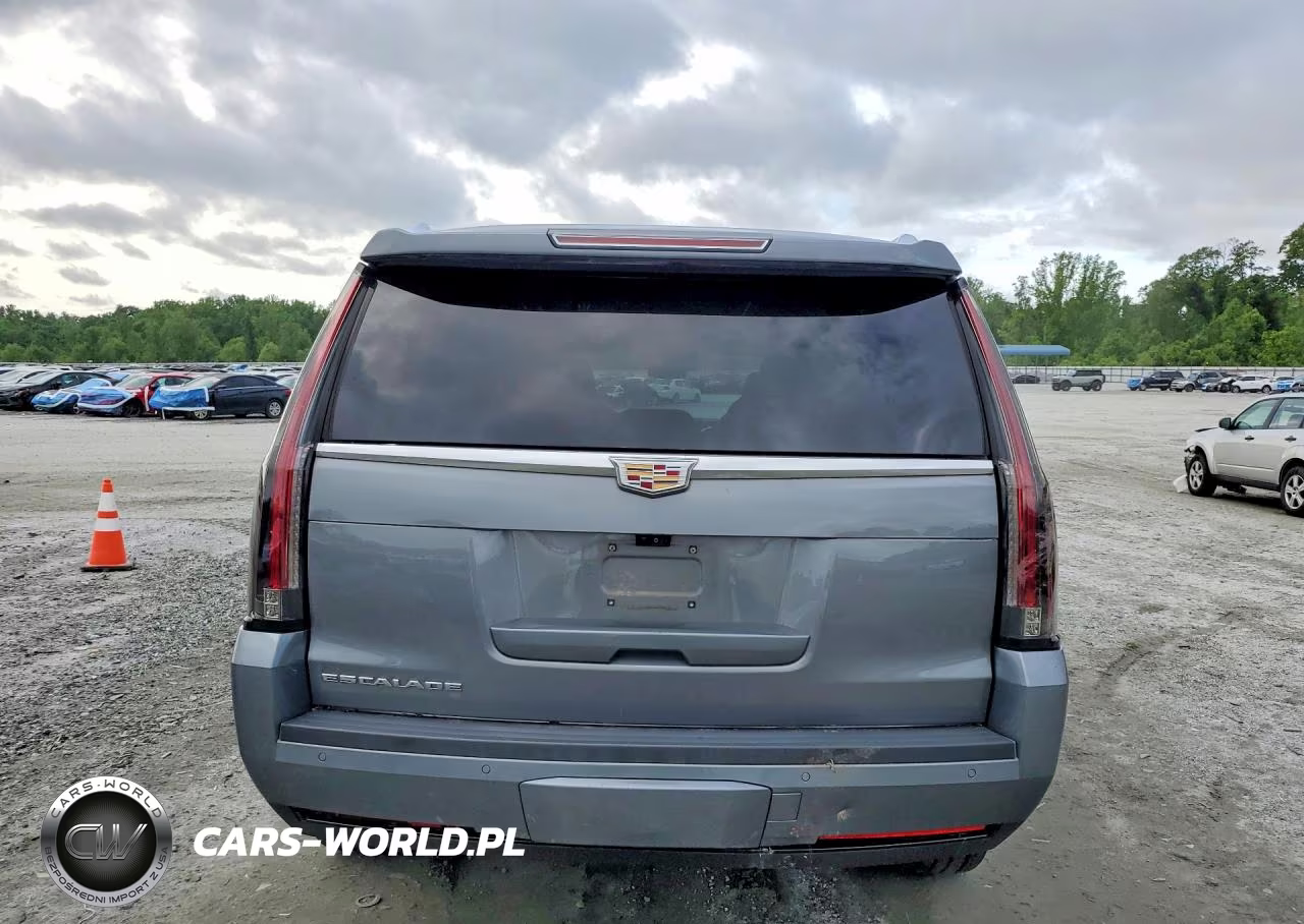 2020 Cadillac Escalade Premium Luxury VIN:1GYS4CKJ5LR182311 - 6