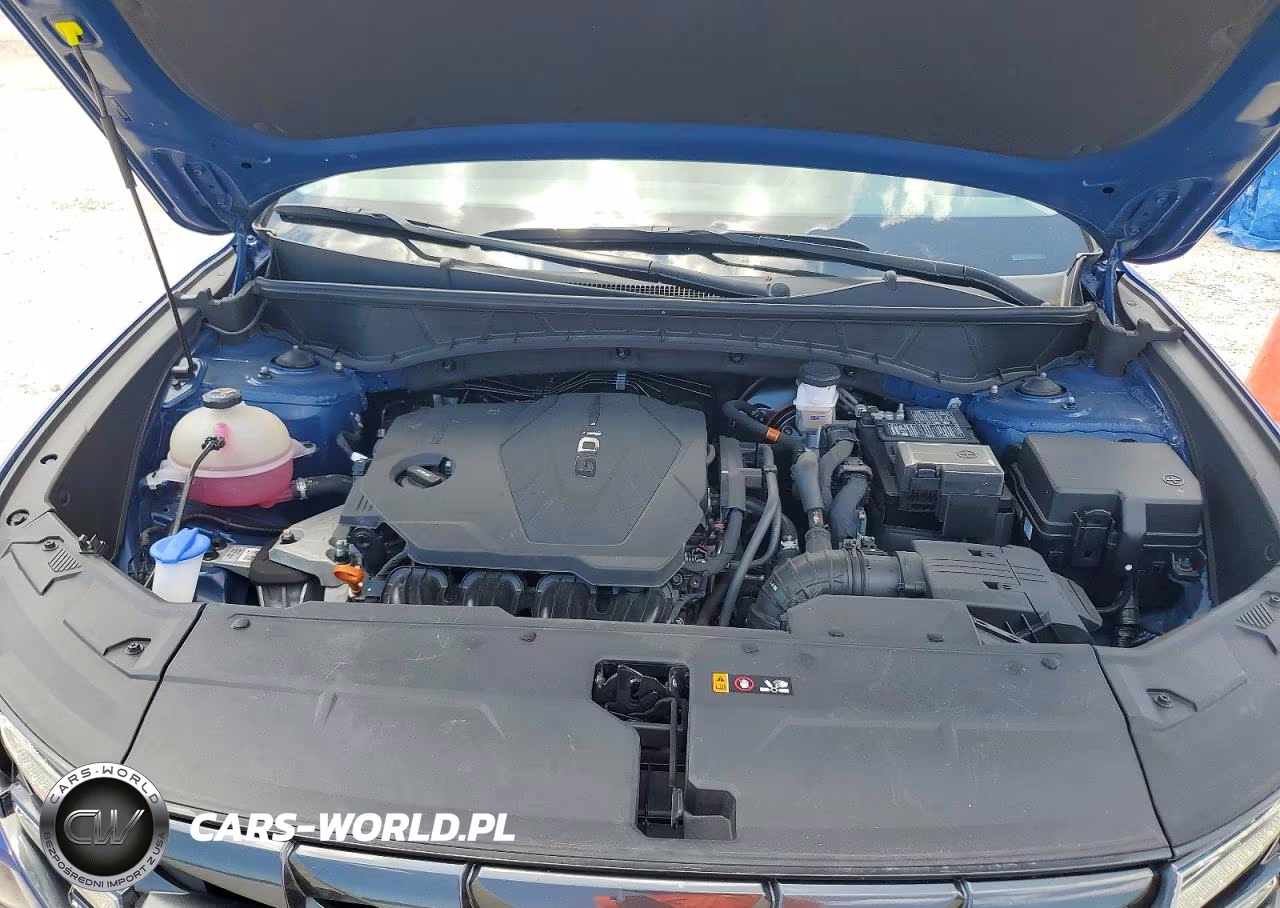 2024 Hyundai Tucson Sel VIN:5NMJBCDE6RH348713 - 12