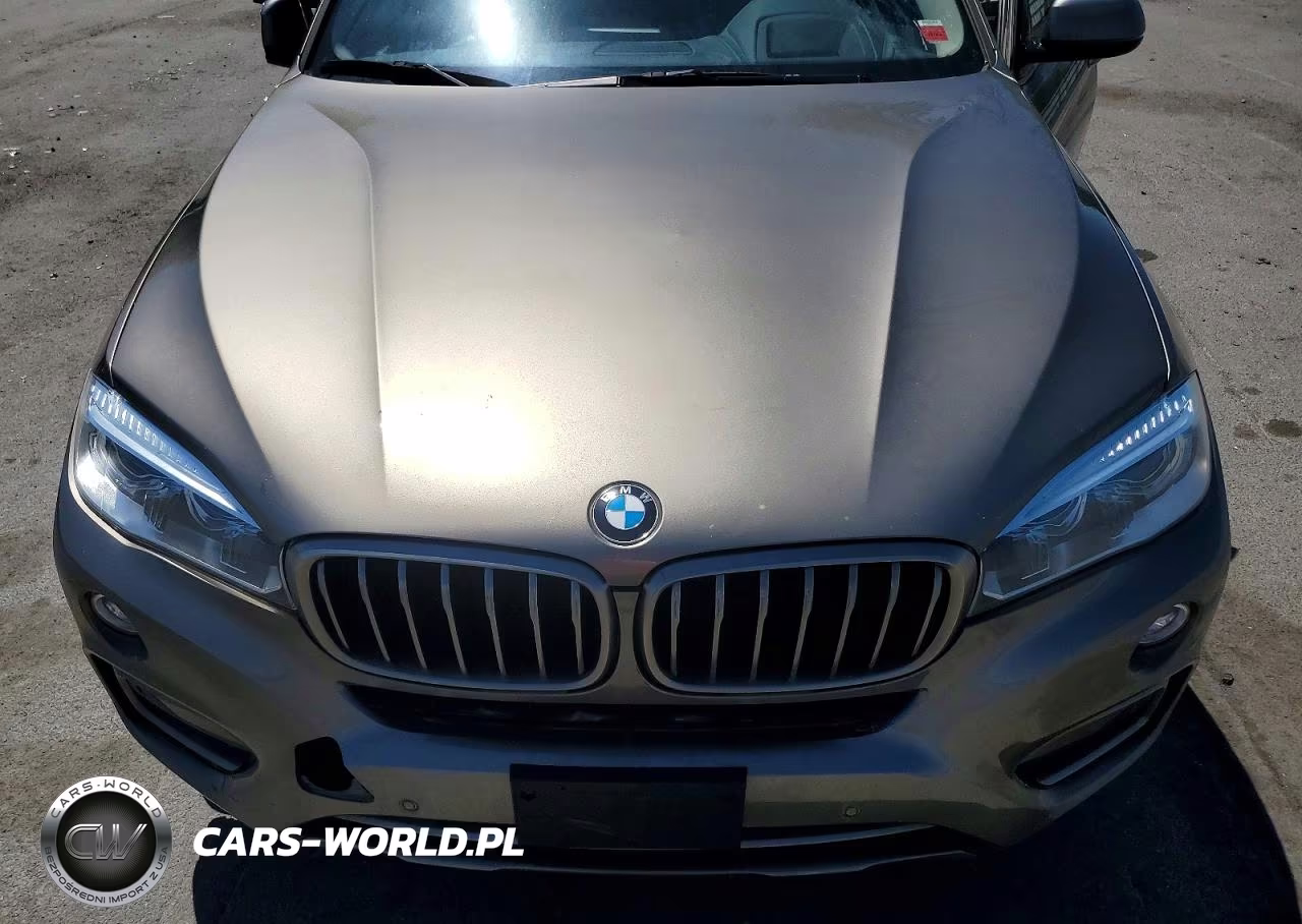 2017 BMW X6 xDrive35I VIN:5UXKU2C33H0U28914 - 12