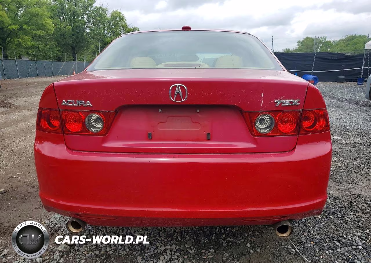 2008 Acura Tsx VIN:JH4CL96828C006770 - 6