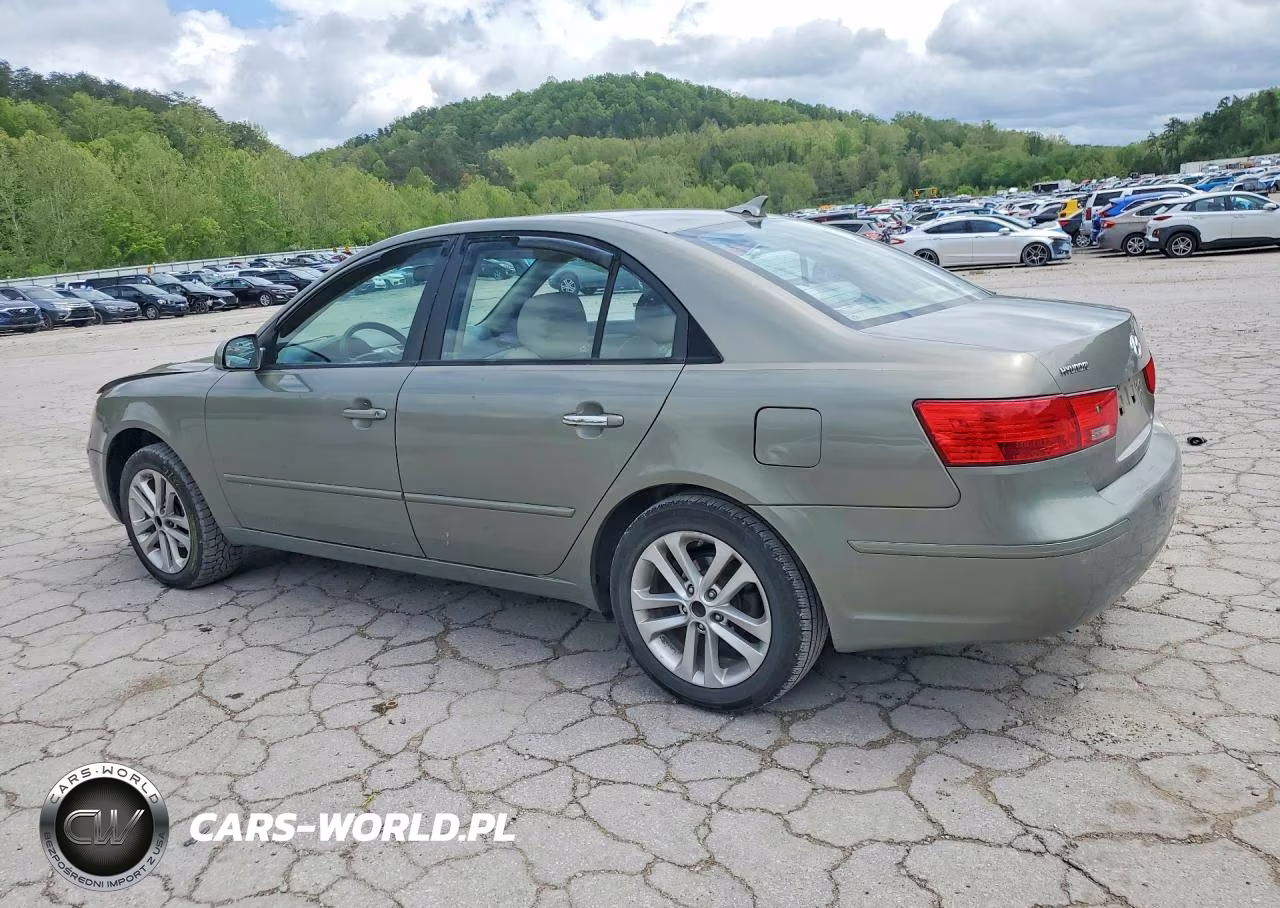 2010 Hyundai Sonata Gls VIN:5NPET4AC2AH658484 - 2