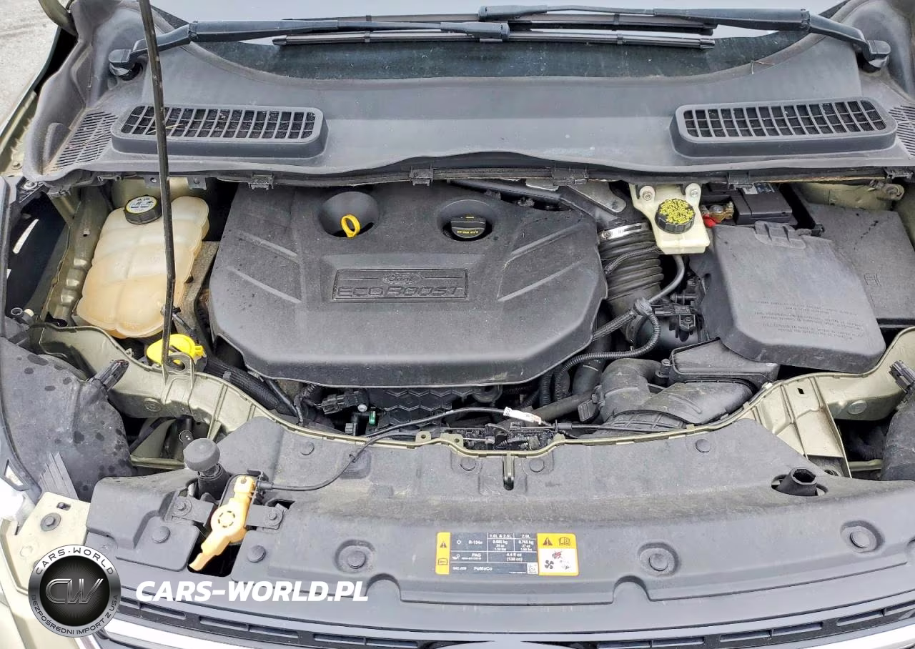 2013 Ford Escape Sel VIN:1FMCU9H90DUA14063 - 12