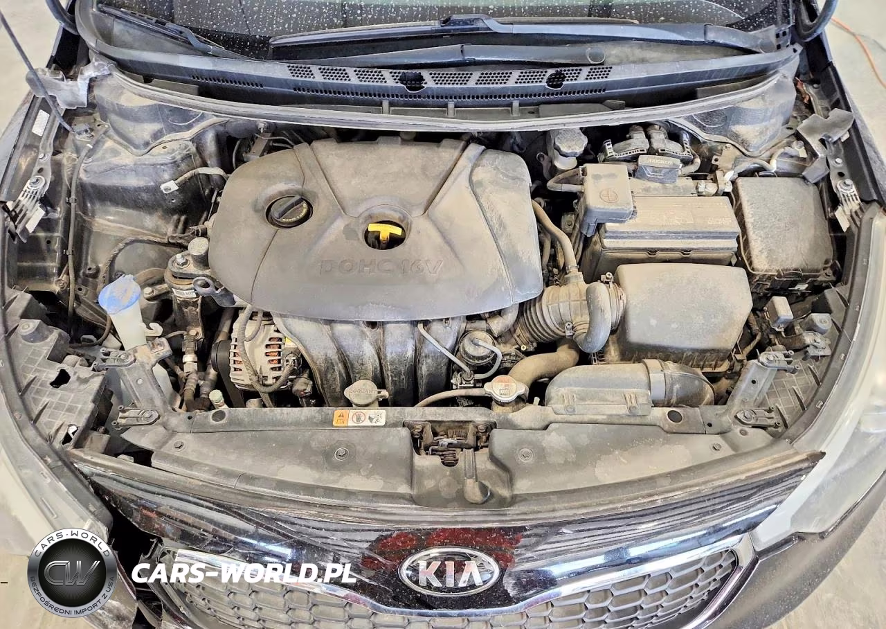 2016 Kia Forte Lx VIN:KNAFK4A63G5524039 - 11