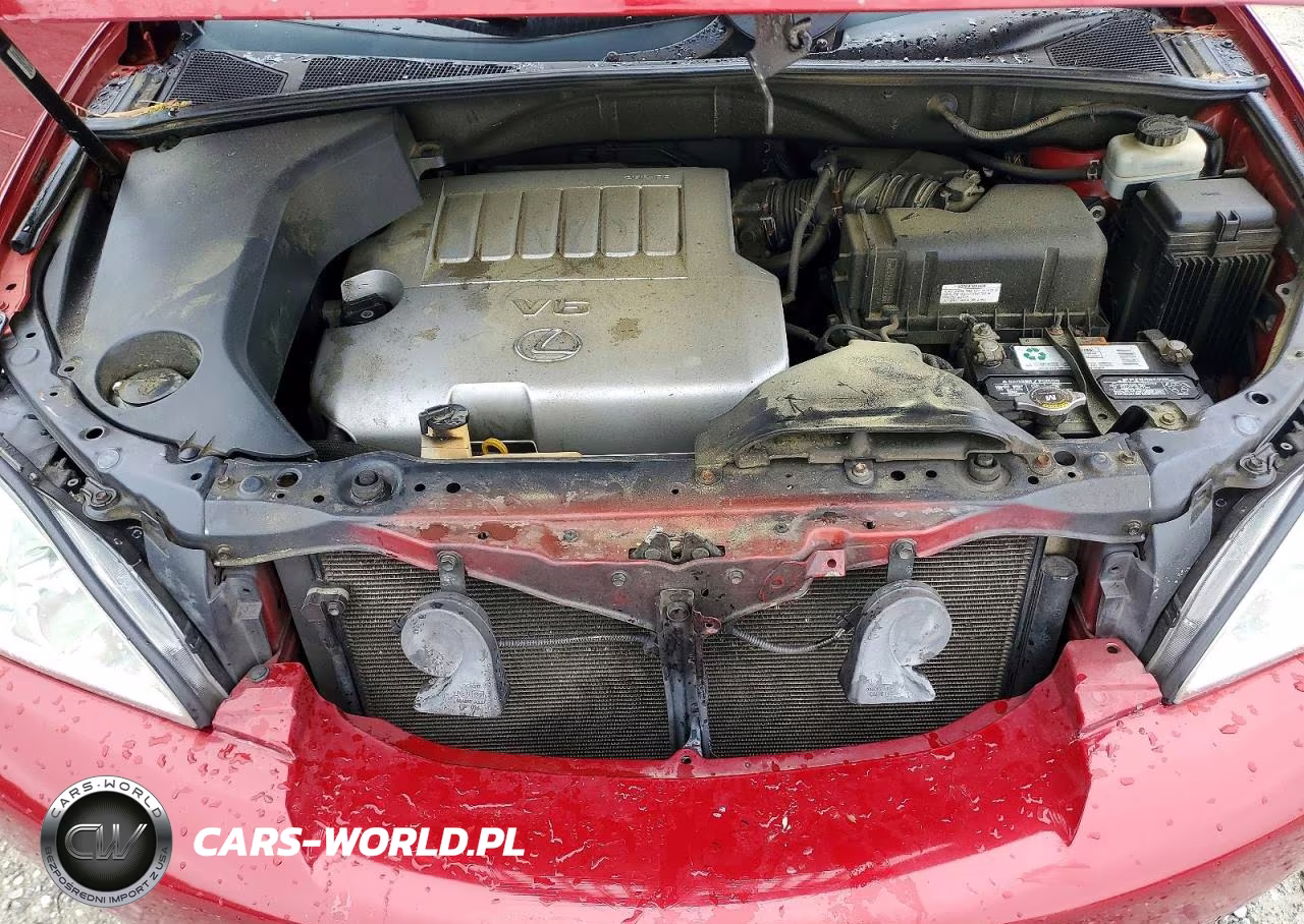 2009 Lexus Rx 350 VIN:2T2GK31U69C066420 - 12