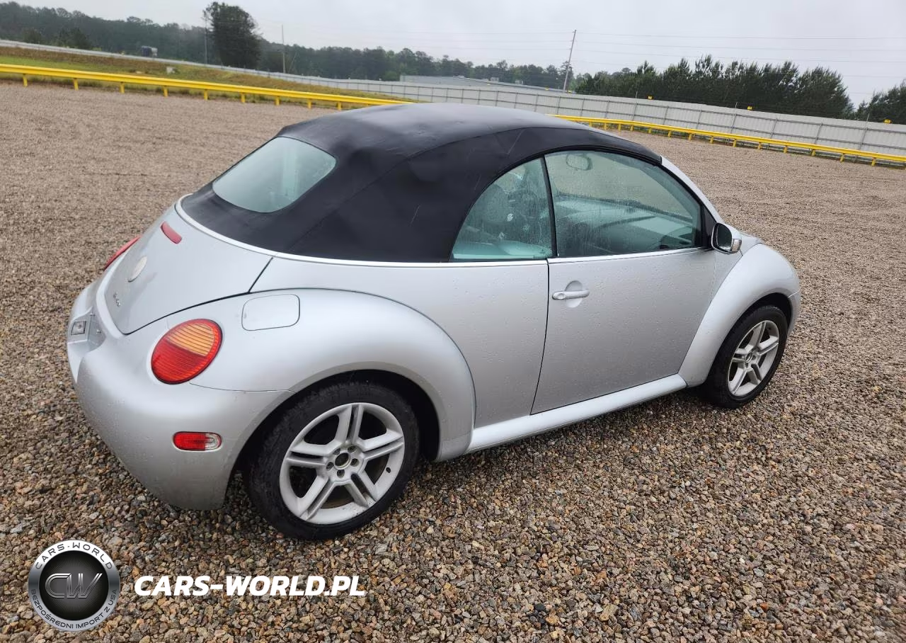 2005 Volkswagen Beetle VIN:3VWCD31Y65M301574 - 3