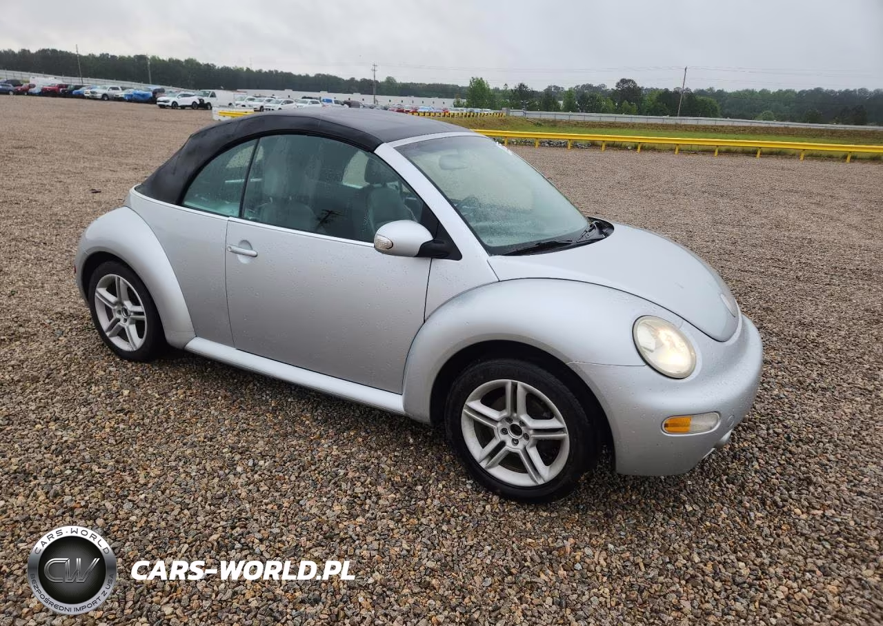 2005 Volkswagen Beetle VIN:3VWCD31Y65M301574 - 4