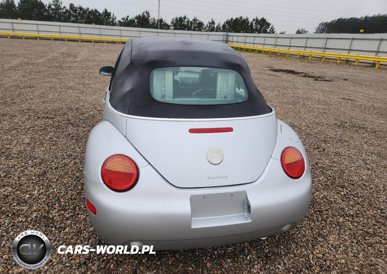 2005 Volkswagen Beetle VIN:3VWCD31Y65M301574 - 6