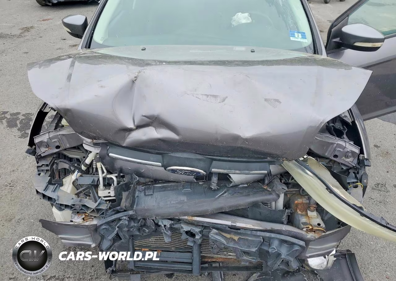 2014 Ford Focus Se VIN:1FADP3F27EL201302 - 11