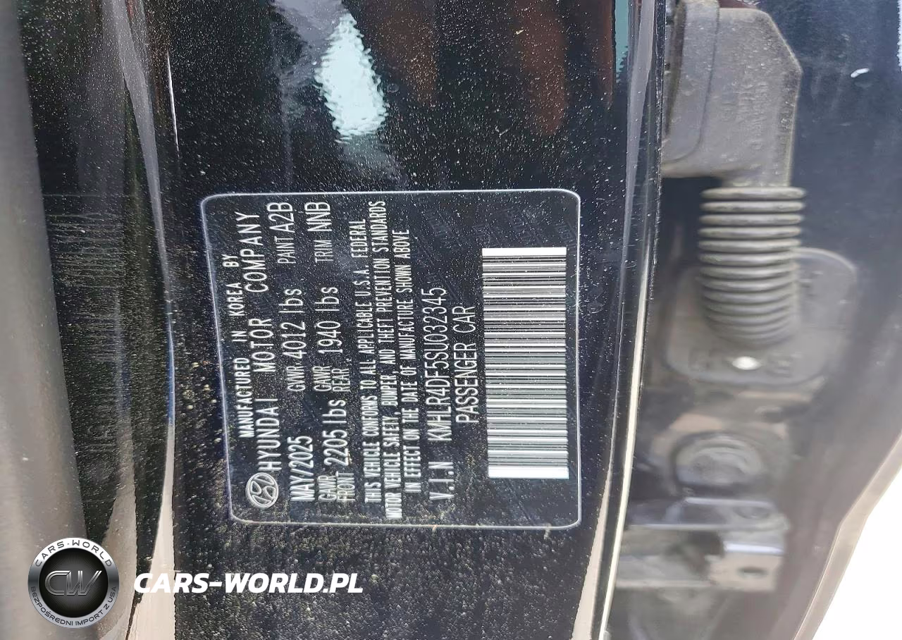 2025 Hyundai Elantra N Line VIN:KMHLR4DF5SU032345 - 12