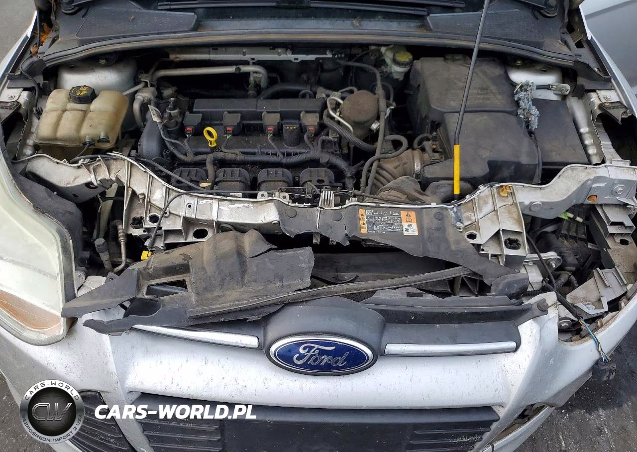 2014 Ford Focus Se VIN:1FADP3F21EL417209 - 11