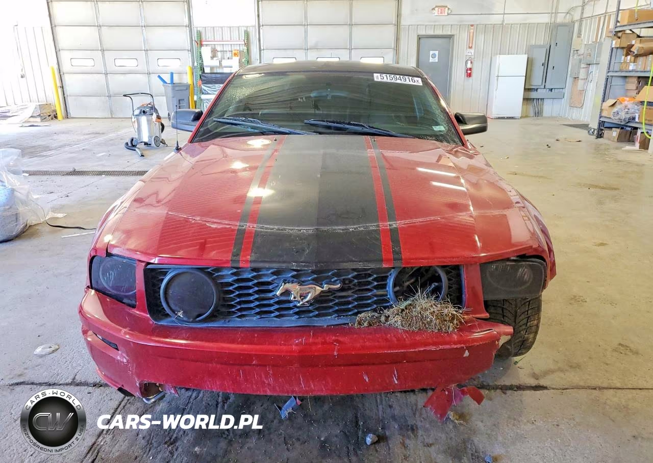 2008 Ford Mustang Gt VIN:1ZVHT82H085111123 - 5