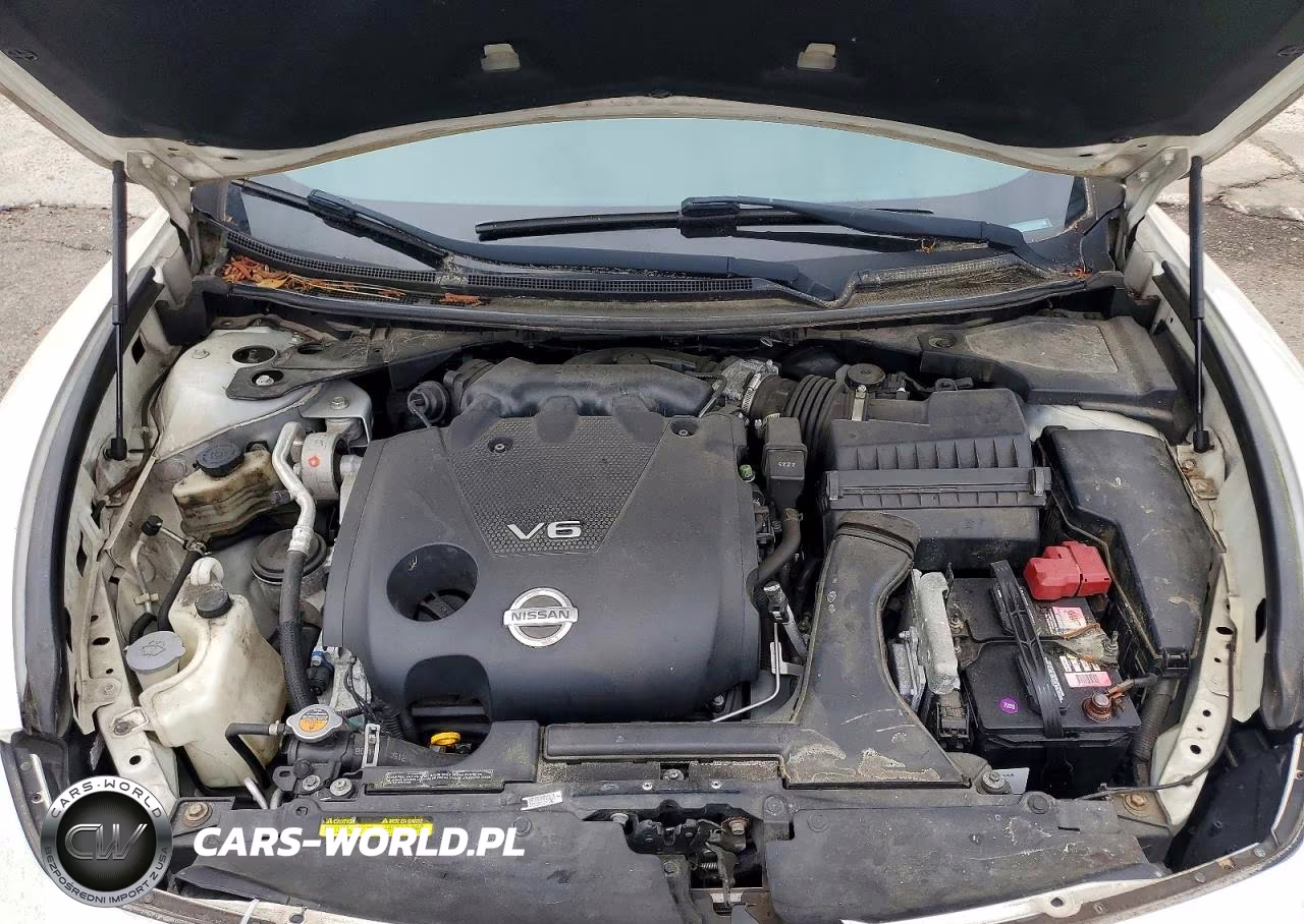 2013 Nissan Maxima 3.5 S VIN:1N4AA5AP8DC833680 - 11