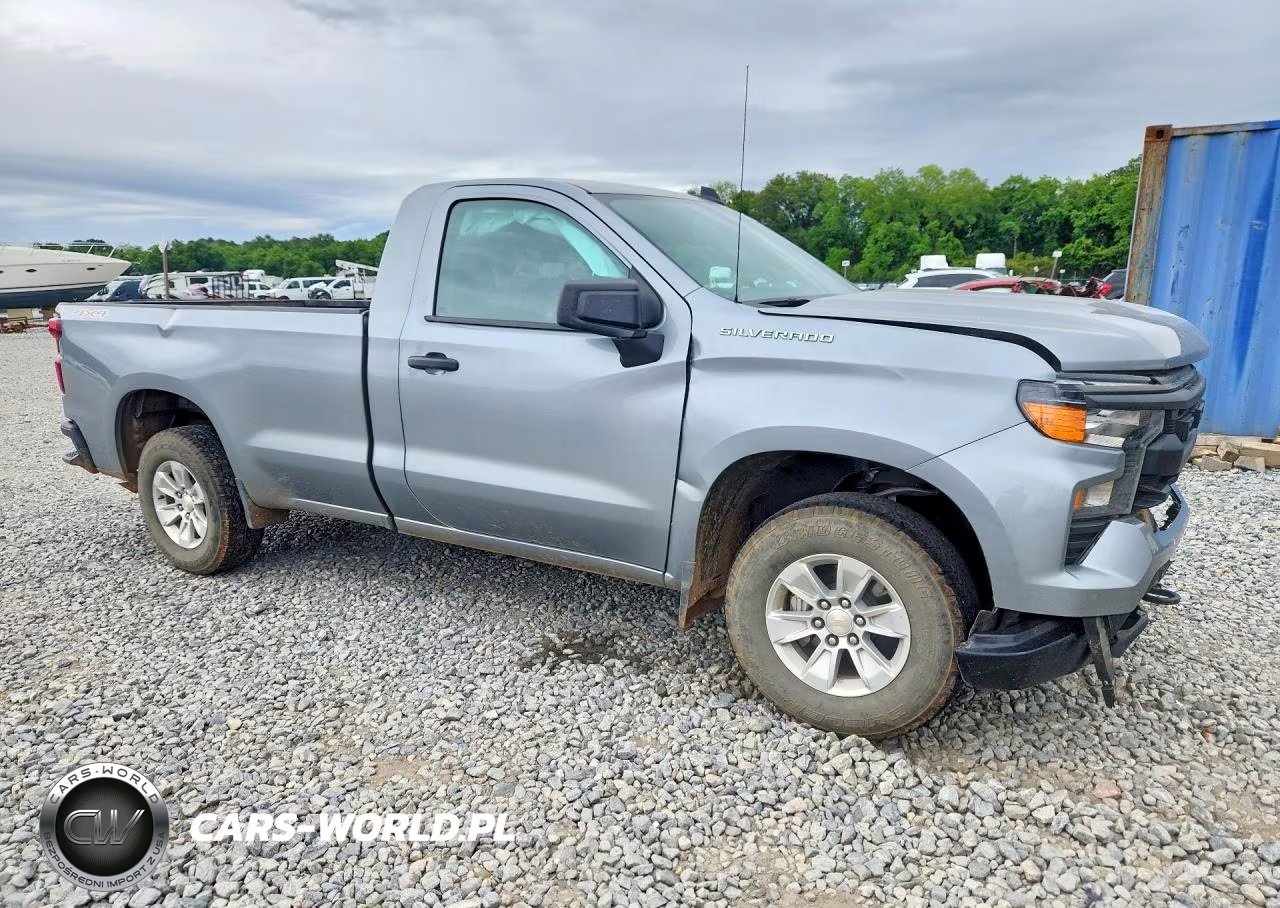 2025 Chevrolet Silverado K1500 VIN:3GCNKAED1SG251352 - 4