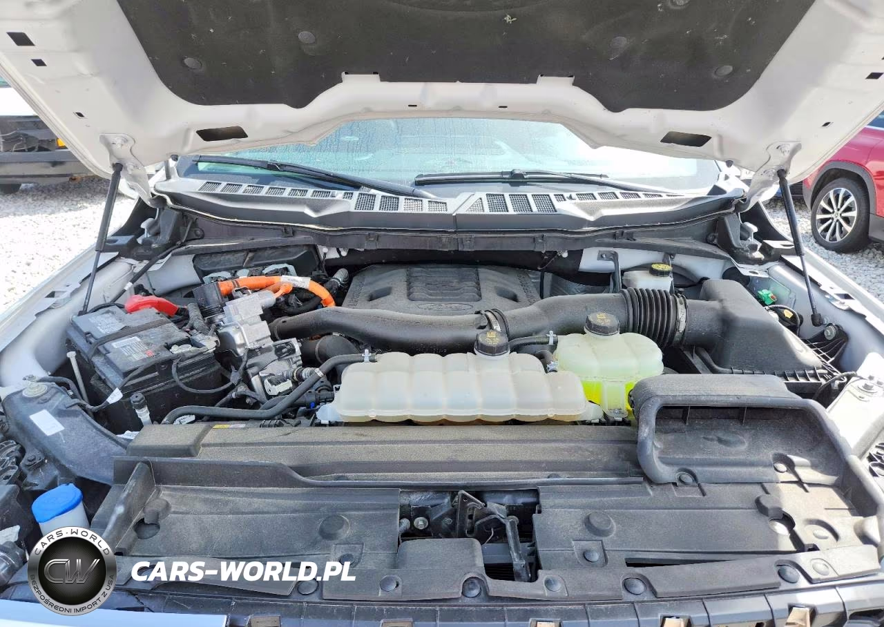 2023 Ford F150 Supercrew VIN:1FTFW1ED6PFB49191 - 11