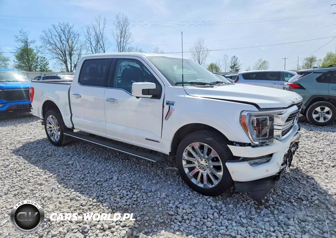 2023 Ford F150 Supercrew VIN:1FTFW1ED6PFB49191 - 4