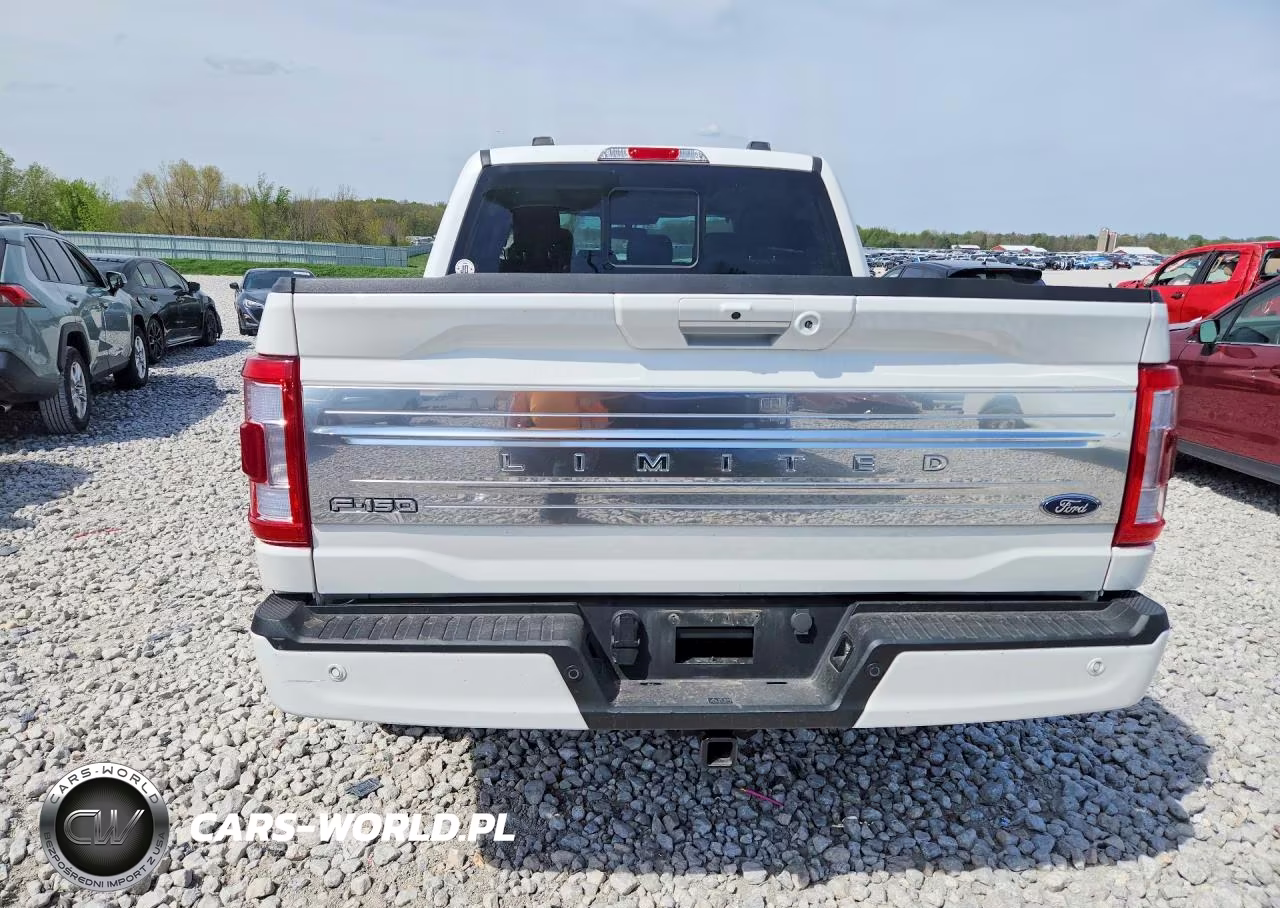 2023 Ford F150 Supercrew VIN:1FTFW1ED6PFB49191 - 6