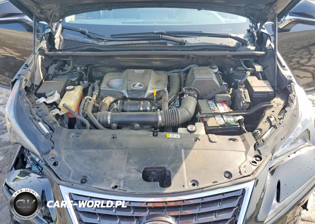 2019 Lexus Nx 300 Base VIN:JTJYARBZ1K2131104 - 12