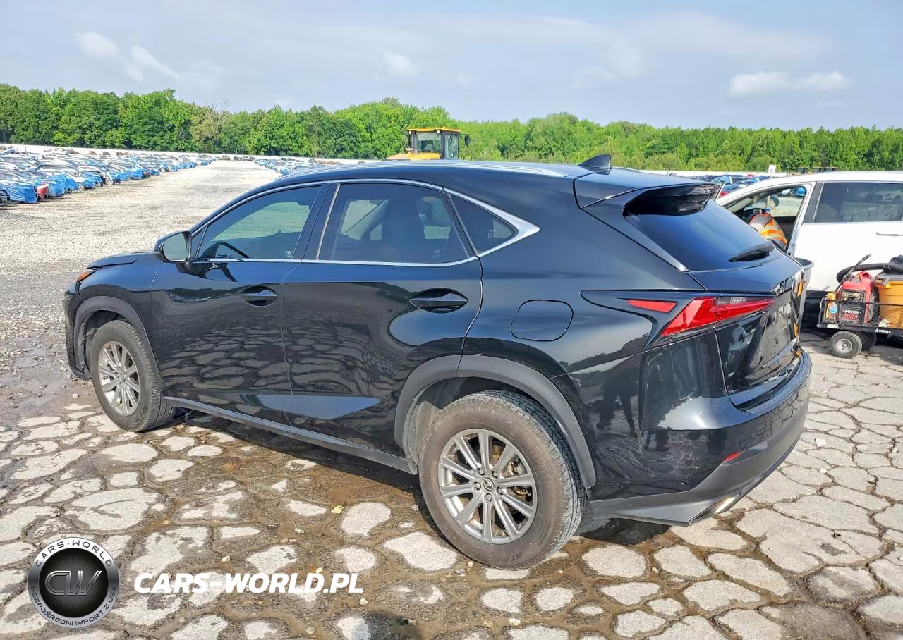2019 Lexus Nx 300 Base VIN:JTJYARBZ1K2131104 - 2