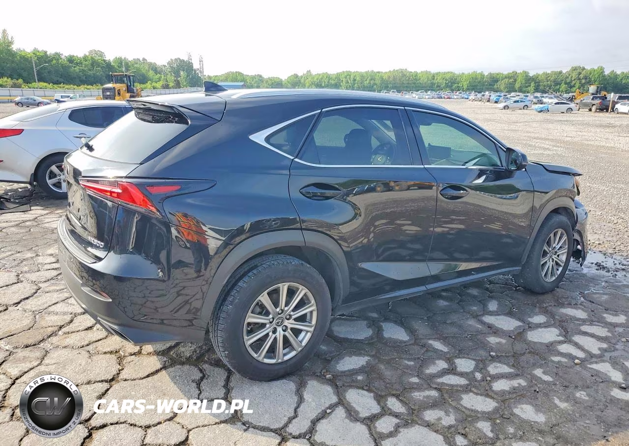 2019 Lexus Nx 300 Base VIN:JTJYARBZ1K2131104 - 3
