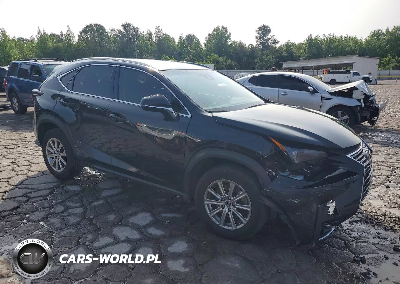 2019 Lexus Nx 300 Base VIN:JTJYARBZ1K2131104 - 4