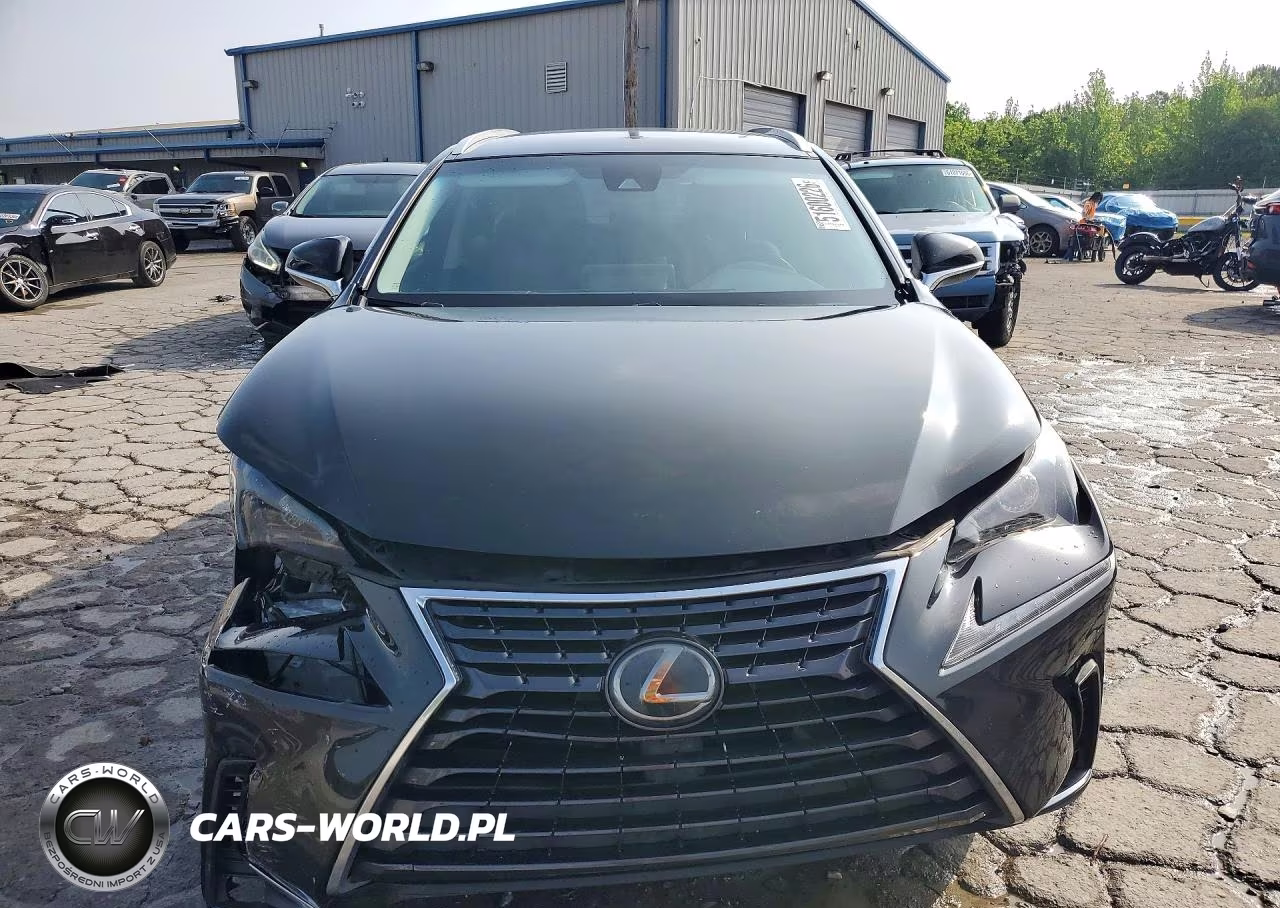 2019 Lexus Nx 300 Base VIN:JTJYARBZ1K2131104 - 5