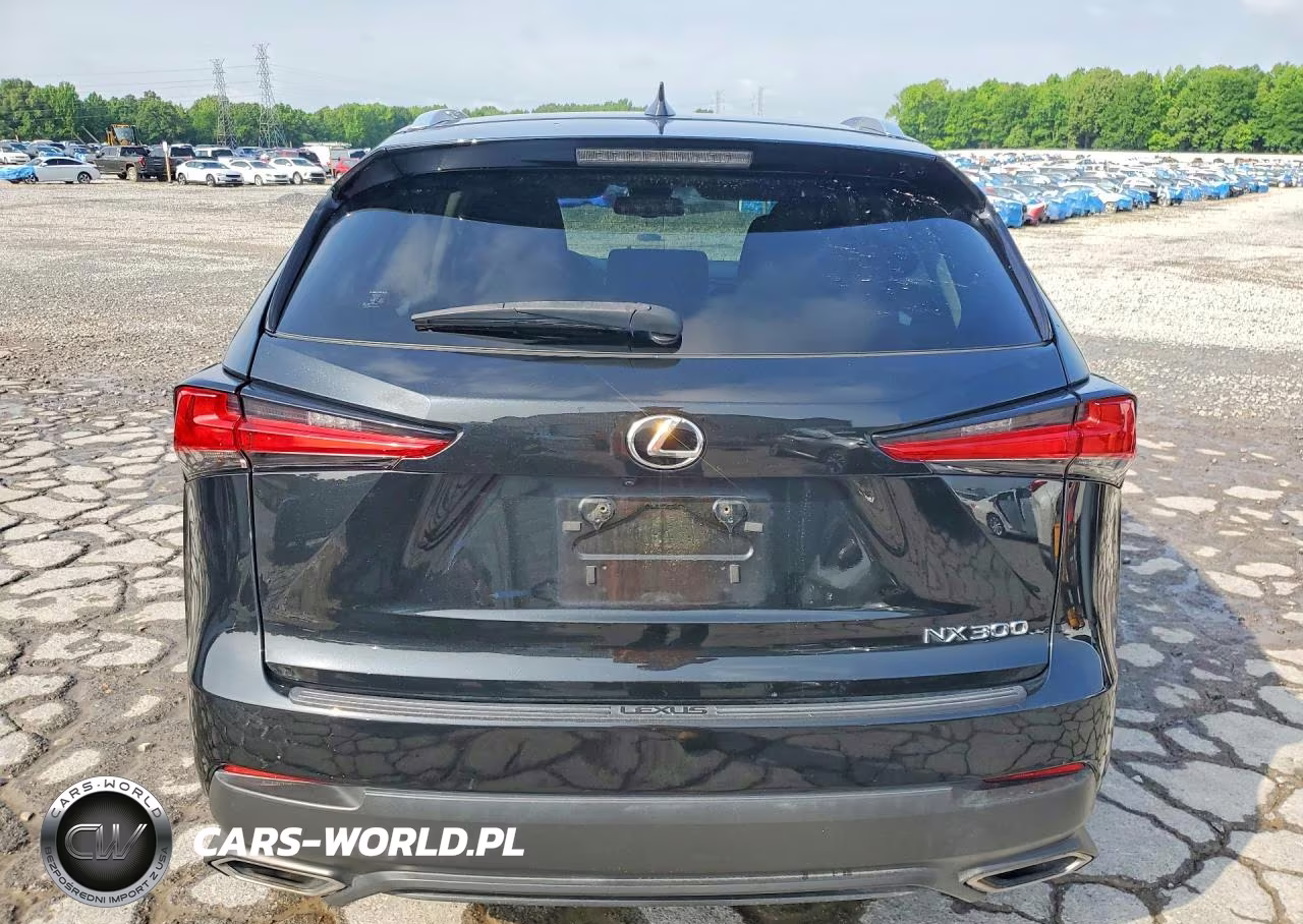 2019 Lexus Nx 300 Base VIN:JTJYARBZ1K2131104 - 6
